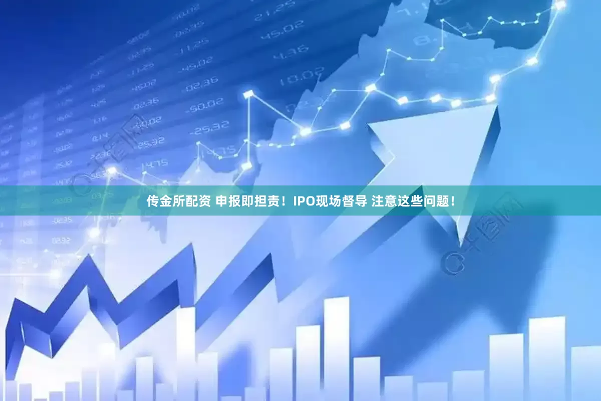 传金所配资 申报即担责！IPO现场督导 注意这些问题！